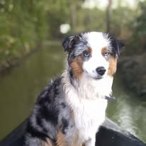 Tumpy Des Joyaux des Ki'millacs Des Terres De L'ouesteros