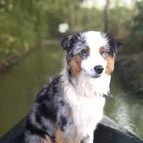 Tumpy des Joyaux Des Ki Millacs